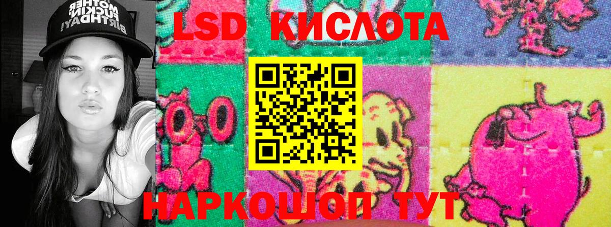 Галлюциногенные грибы Соликамск