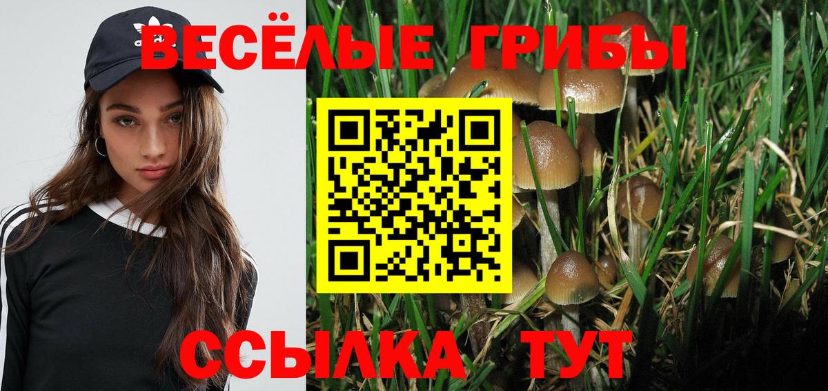 Псилоцибиновые грибы Cubensis  закладки  Вход с VPN  Соликамск  Псилоцибиновые грибы прущие грибы 